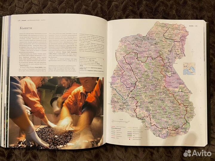 Книга о вине