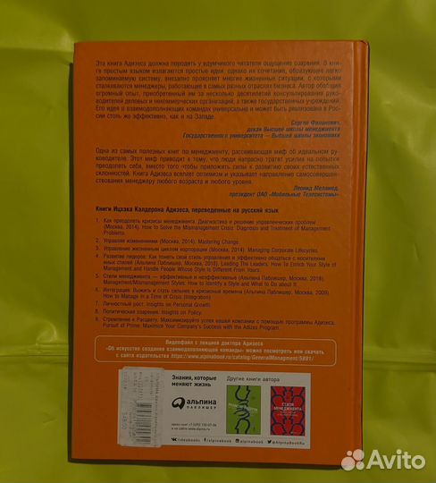 Идеальный руководитель Адизас И