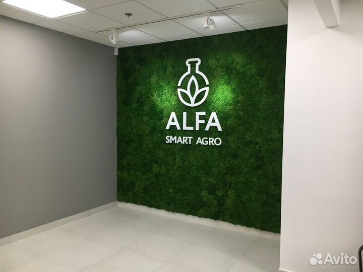 Название компании из мха в офис