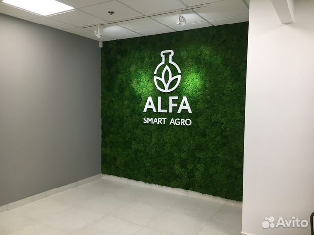 Название компании из мха в офис