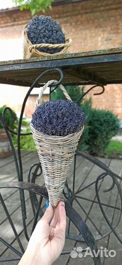 Лаванда сухоцветы