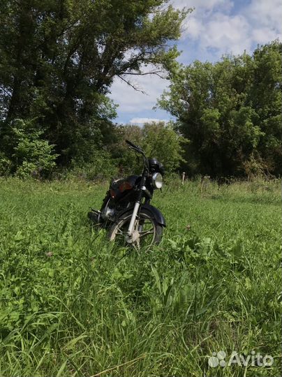 Орион грифон 125