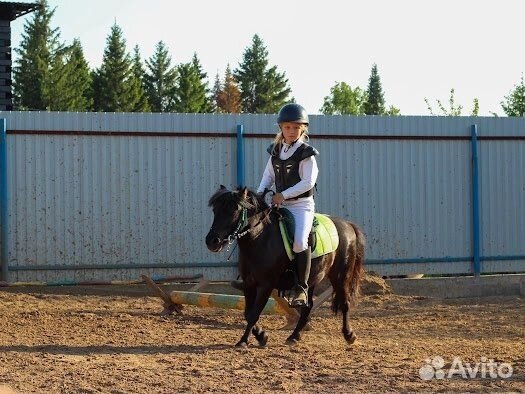 Занятия верховой ездой на пони