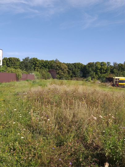 Участок 25 сот. (ИЖС)