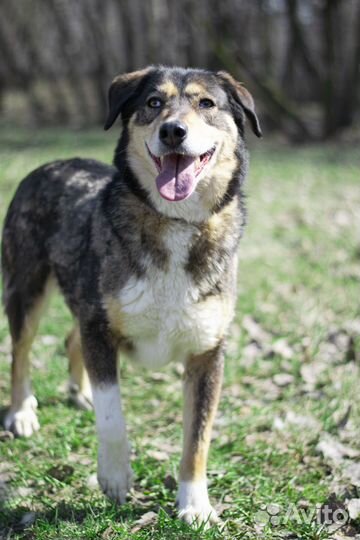 Молодая, ласковая и очень нежная девочка