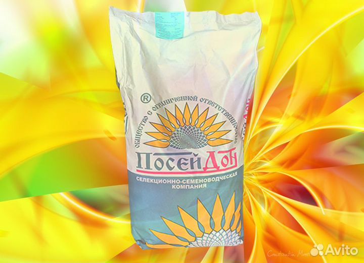 Семена гибрида подсолнечника Кайзер классика (F-G)