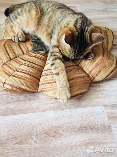 Подушка/пуф