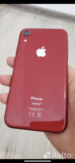 iPhone xr