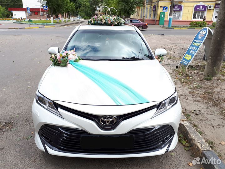 Трансфер Такси Брянск Внуково Москва Анапа Крым