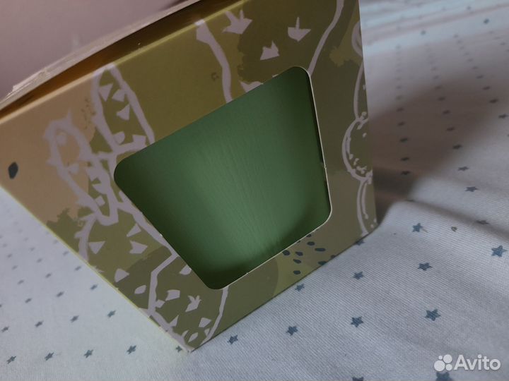 Кактусы (для дома)