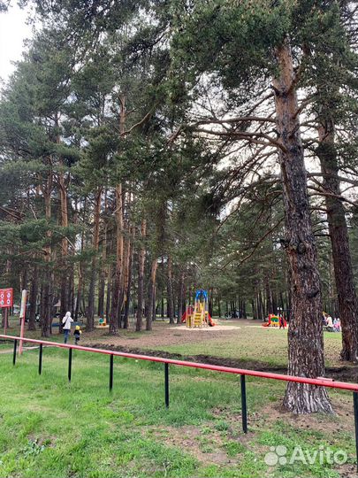 Прокат квадрациклов, эндуро, питбайк