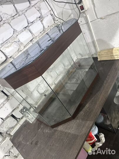 Аквариум, 50 литров