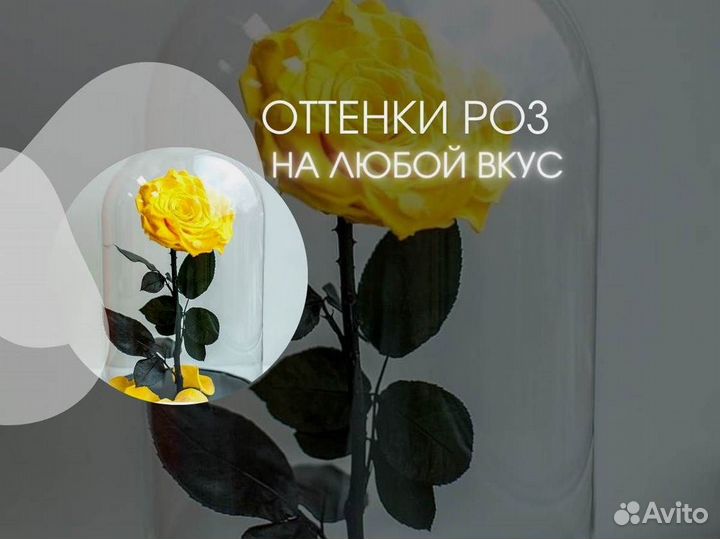 Розы в колбе любые