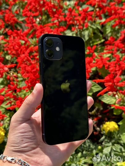 iPhone 12