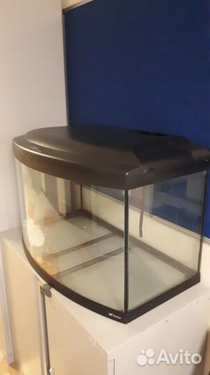 Аквариумные рыбки