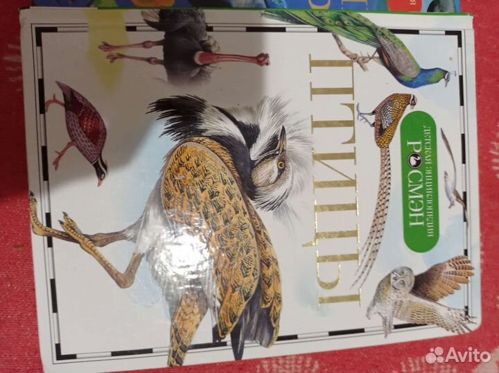 Книги росмэн