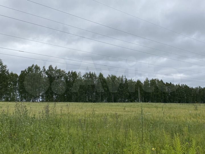 Участок 17,3 сот. (ИЖС)
