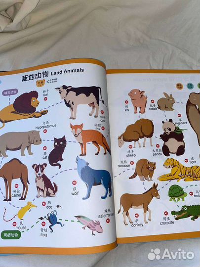 Говорящая китайско-английская энциклопедия