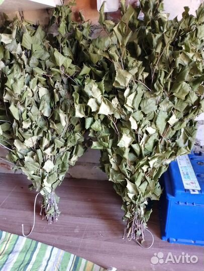 Березовые веники