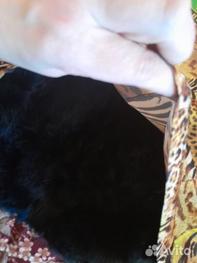 Подстежка кролик