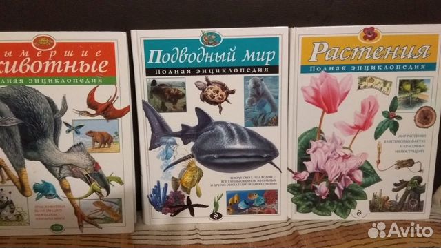 Книги/детская энциклопедия