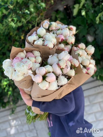 Розы,пионы