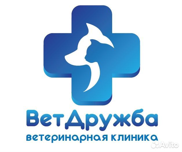 Ассистент ветеринарного врача