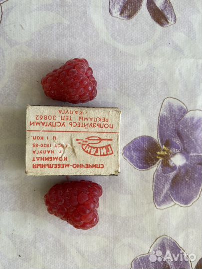 Рассада малины