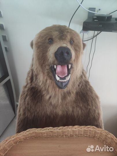 Имитация чучела медведя