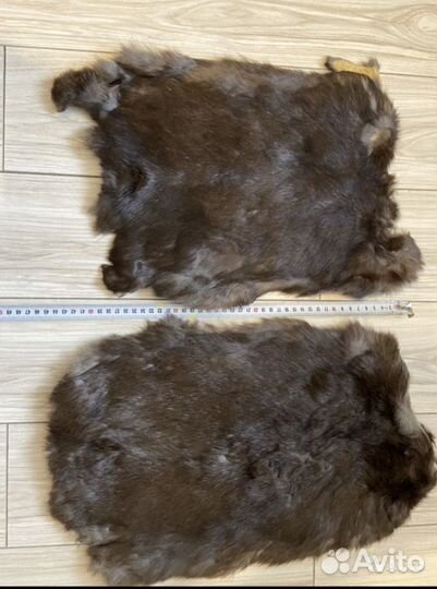 Шкурка Норка Кролик
