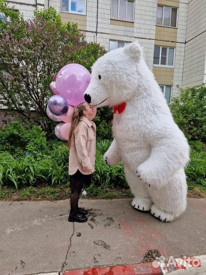 Белый мишка, милая Зайка, Галустян и другие