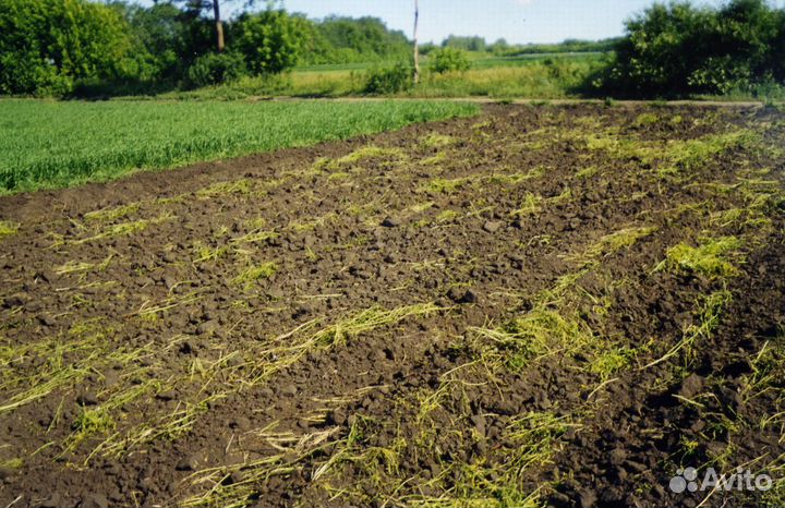 Навоз прелый коровий,чернозем камаз 15т,ЗИЛ,газель