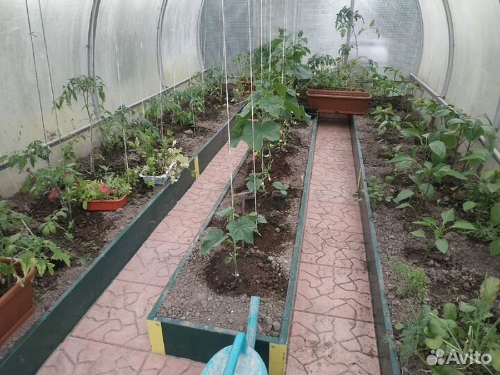 Грядки в теплицу и парник