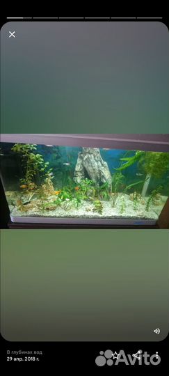 Аквариум