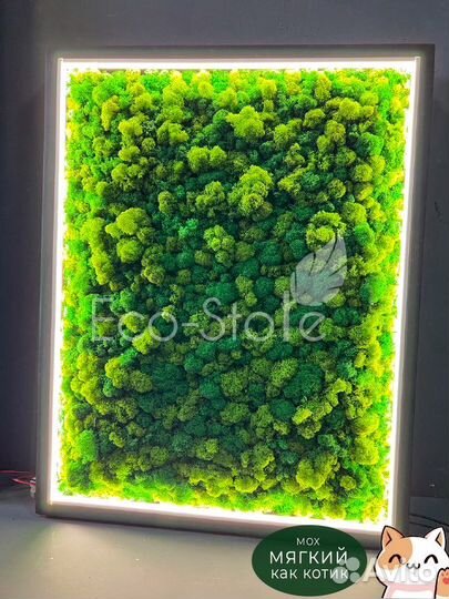 Панно со мхом для бизнеса