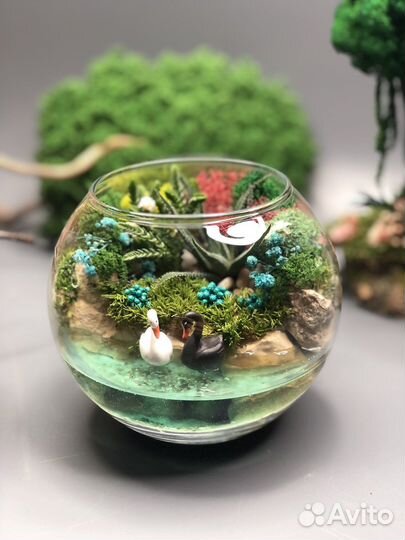 Флорариум с фигурками лебедей