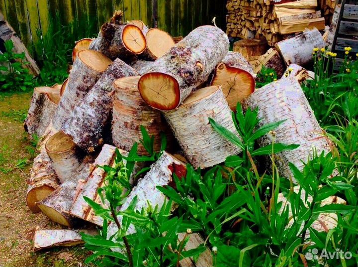 Дрова из Буратино