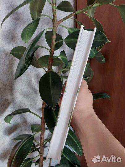 Хороший муж Лора Шлессингер