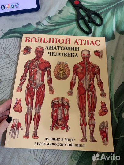 Большой атлас анатомии человека
