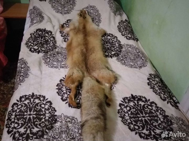 Шкуры лисы