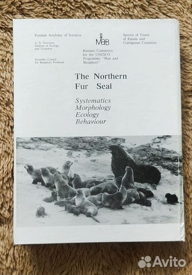 Северный морской котик. Систематика Морфология