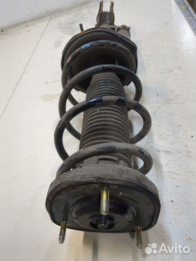 Амортизатор подвески левый задний Subaru Forester (S11), 2003