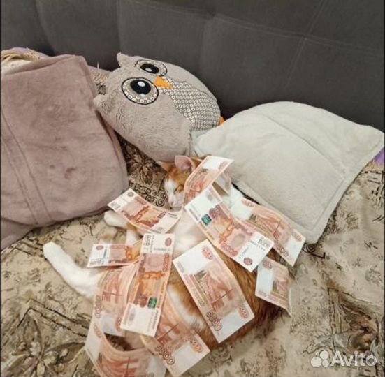 Талисман Семён