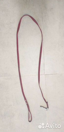 Поводок для собак