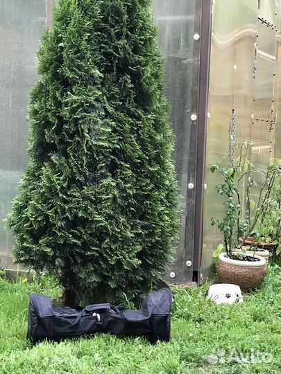 Гироскутер