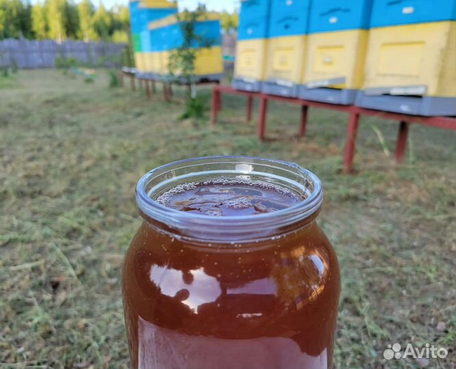 Мёд свежий 2023