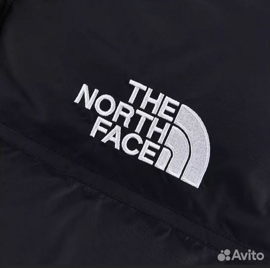 Пуховик tnf 700