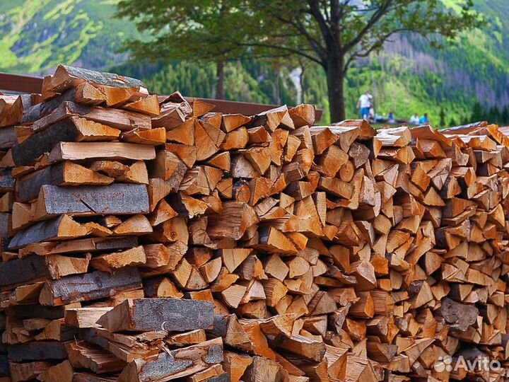 Дрова березовые
