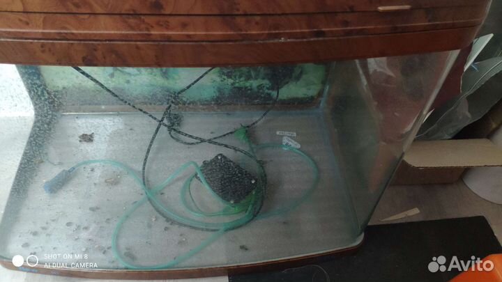 Аквариум 100 литров