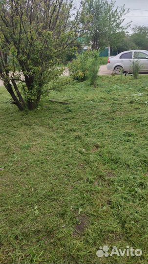 Покос травы